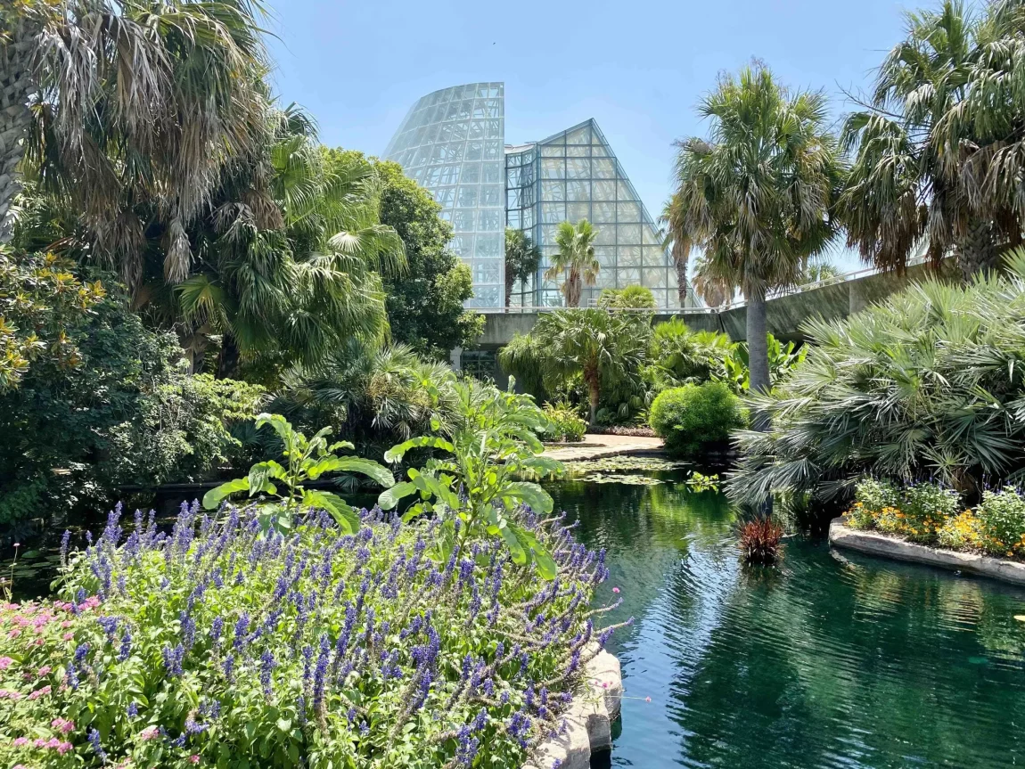 Mayor Jones desires to defund San Antonio Botanical Backyard as metropolis’s funds deficit looms