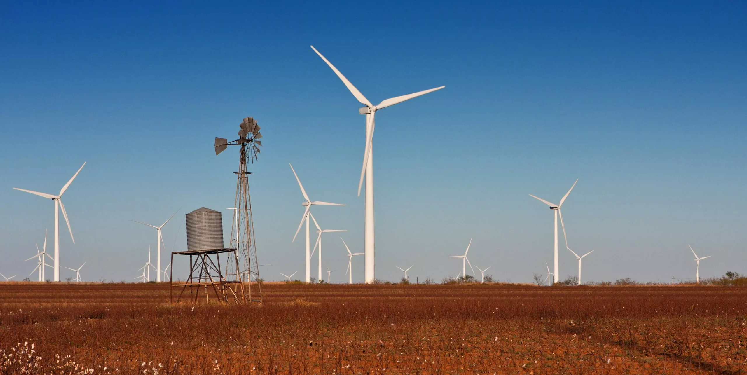 To block renewable energy projects, Texas Republicans have weaponized conservation concerns