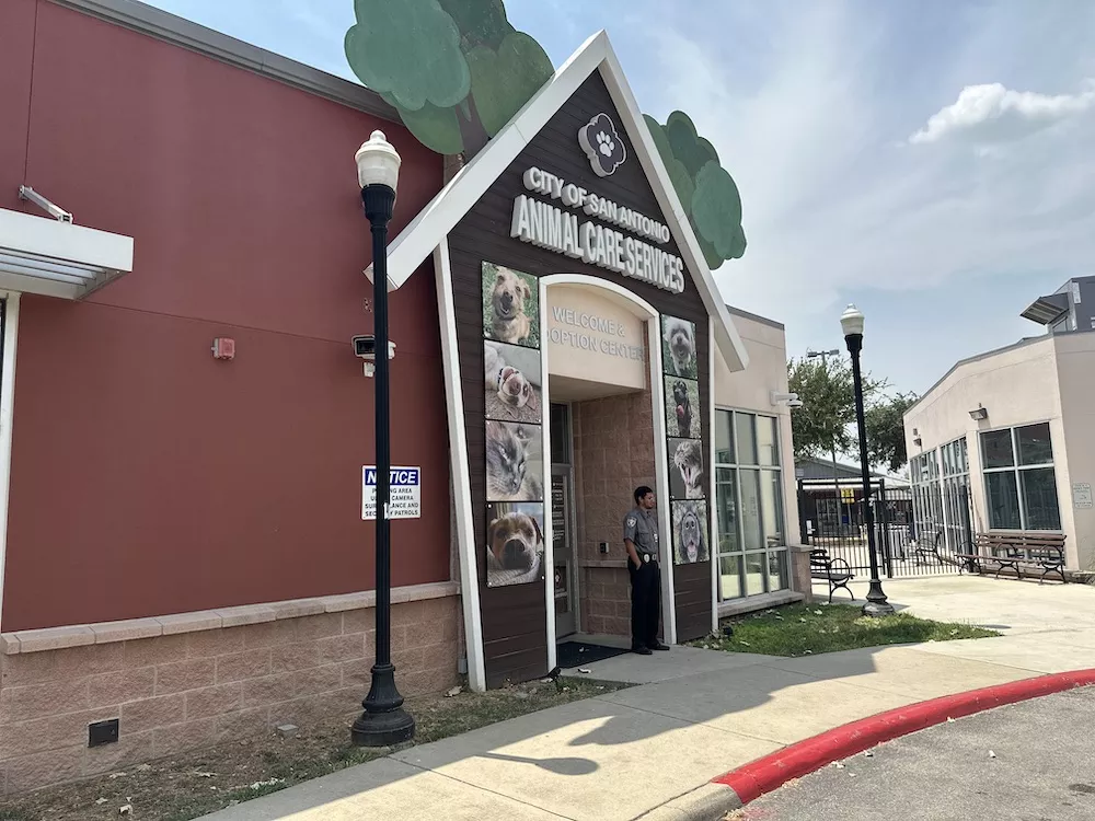 San Antonio Animal Care Services in urgent need of pet food donations