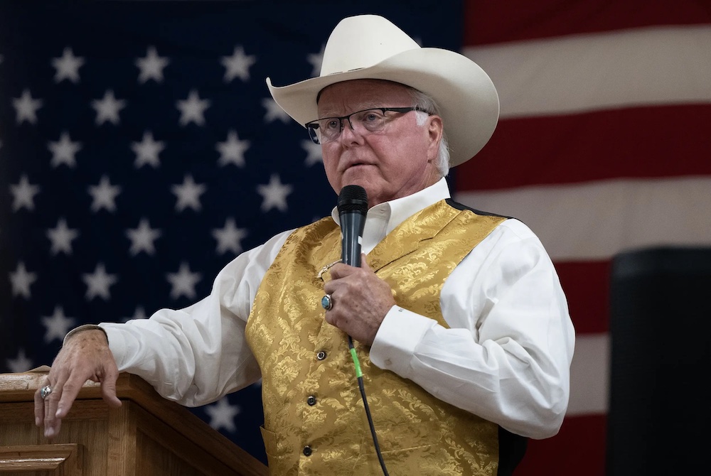 Evaluation: Texas Ag Commissioner shares AI picture to protest AI knowledge facilities