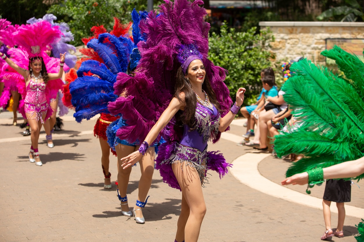 Competition de Animales returns to the San Antonio Zoo this weekend
