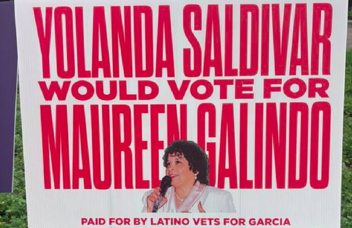 Yard signs claiming Selena's murderer would vote for Democrat Maureen Galindo pop up in SA