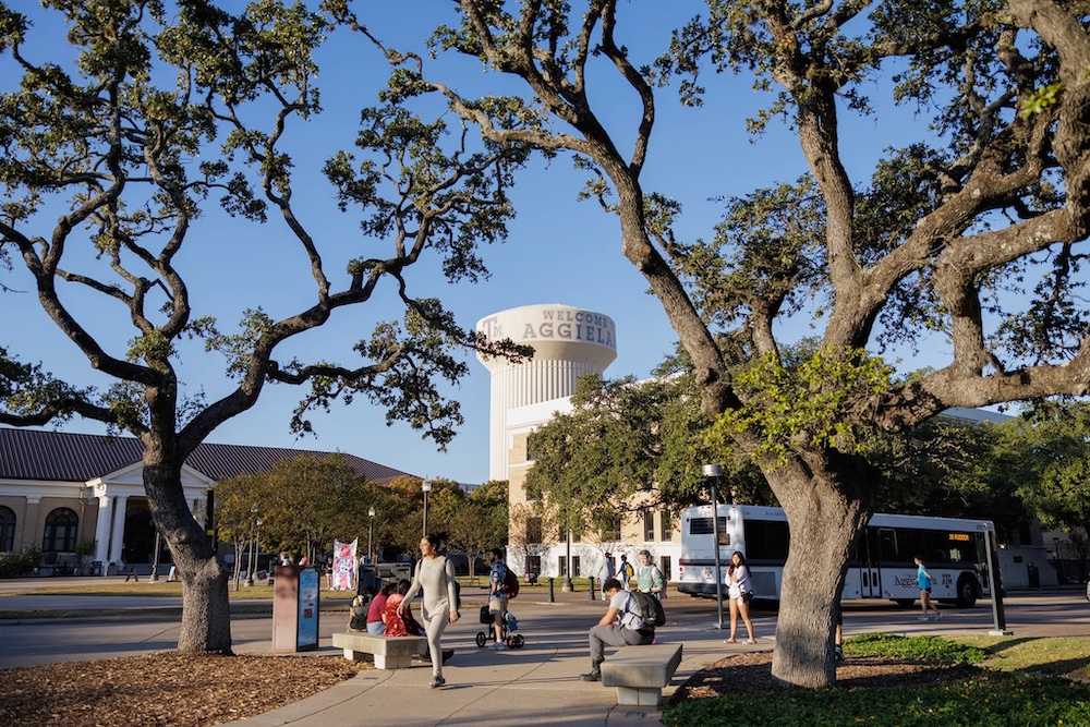 Texas school watchdog acquired almost 70 complaints, opened one investigation, information present Texas school watchdog acquired almost 70 complaints, opened one investigation, information present
