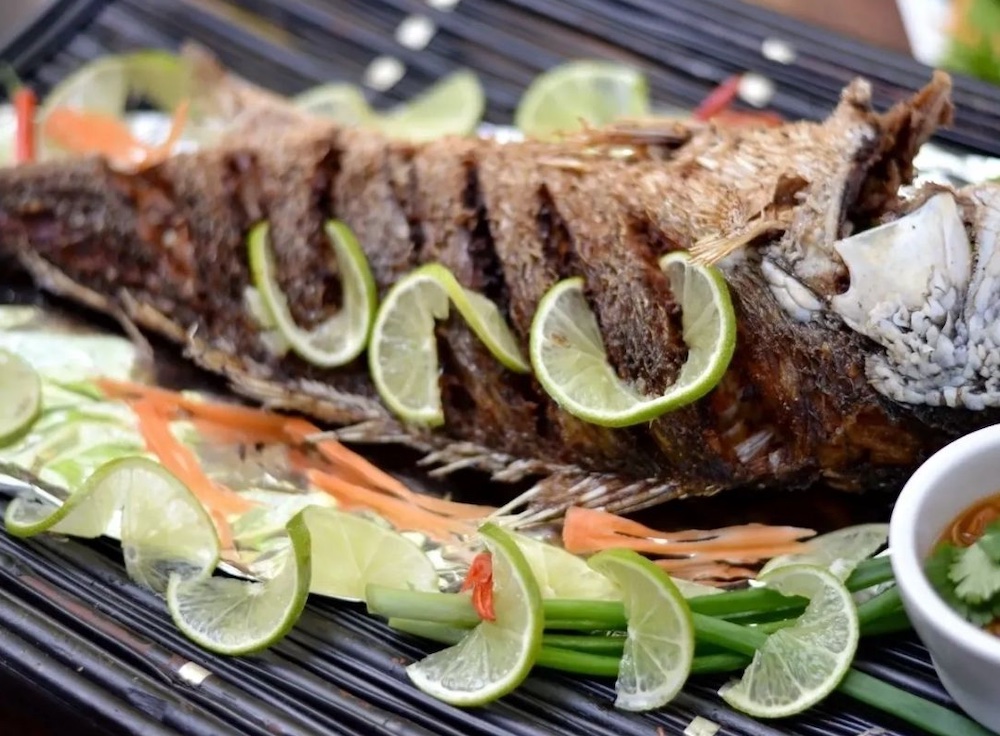 The very best food and drinks in San Antonio for 2026, based on our readers The very best food and drinks in San Antonio for 2026, based on our readers