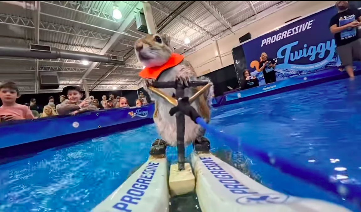 Waterskiing squirrel escapes during show at San Antonio Mall