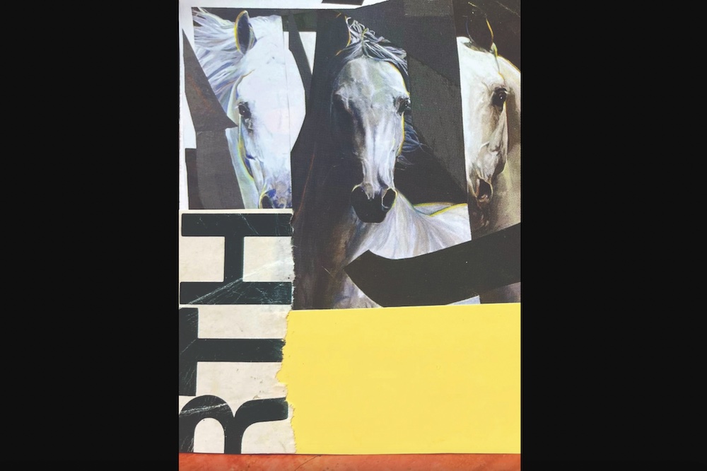 Enzminger Studio to open solo exhibition for San Antonio visual artist Marcy McChesney